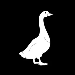 VPN-сервис Fast Goose 🪿