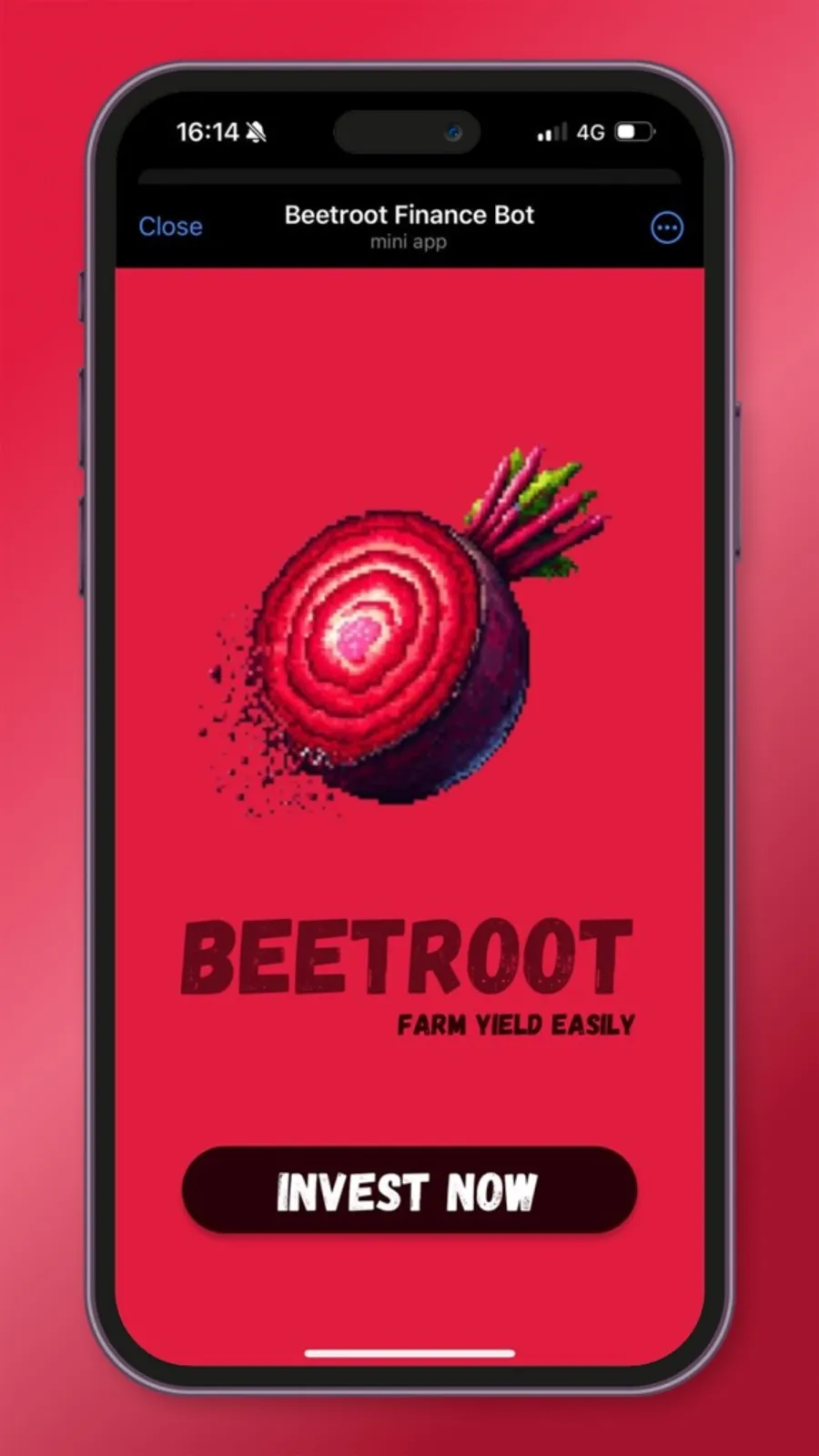 beetrootfibot