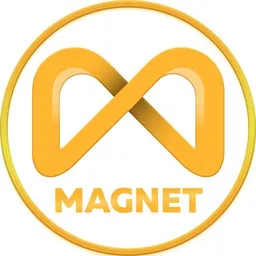 Crypto Magnet 🧲