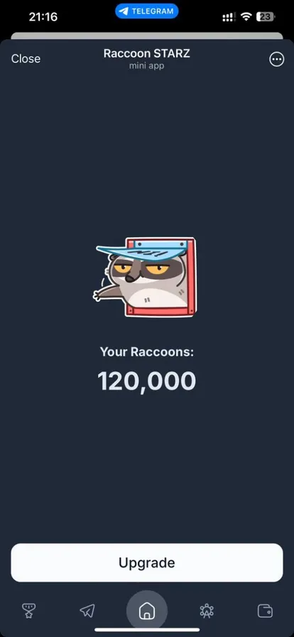 raccoonstarzbot