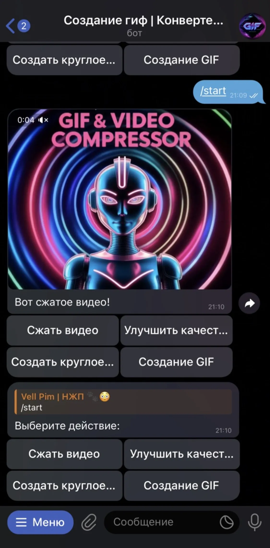 szhat_video_sozdat_gif_bot