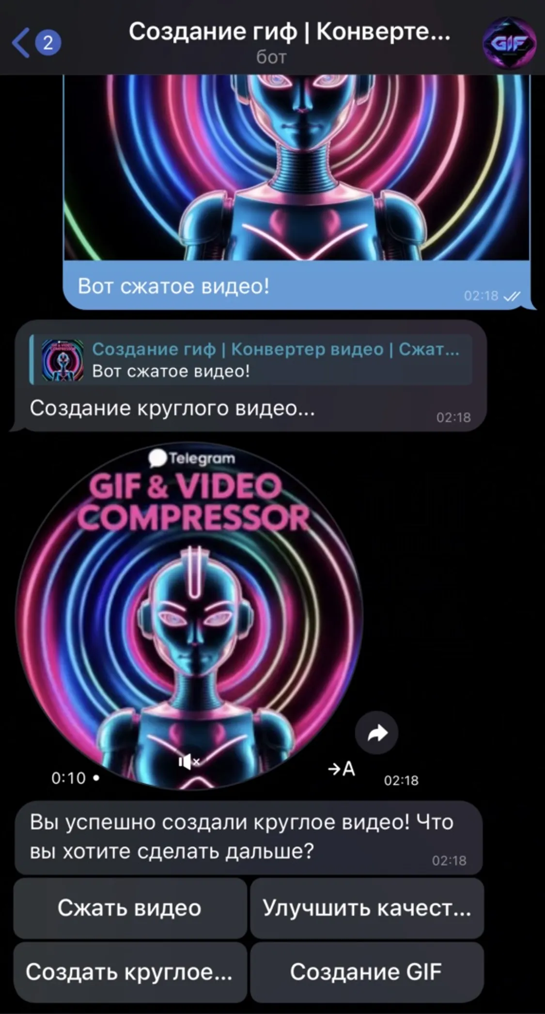 szhat_video_sozdat_gif_bot