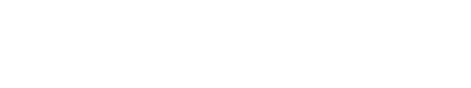 Nexusverse logo