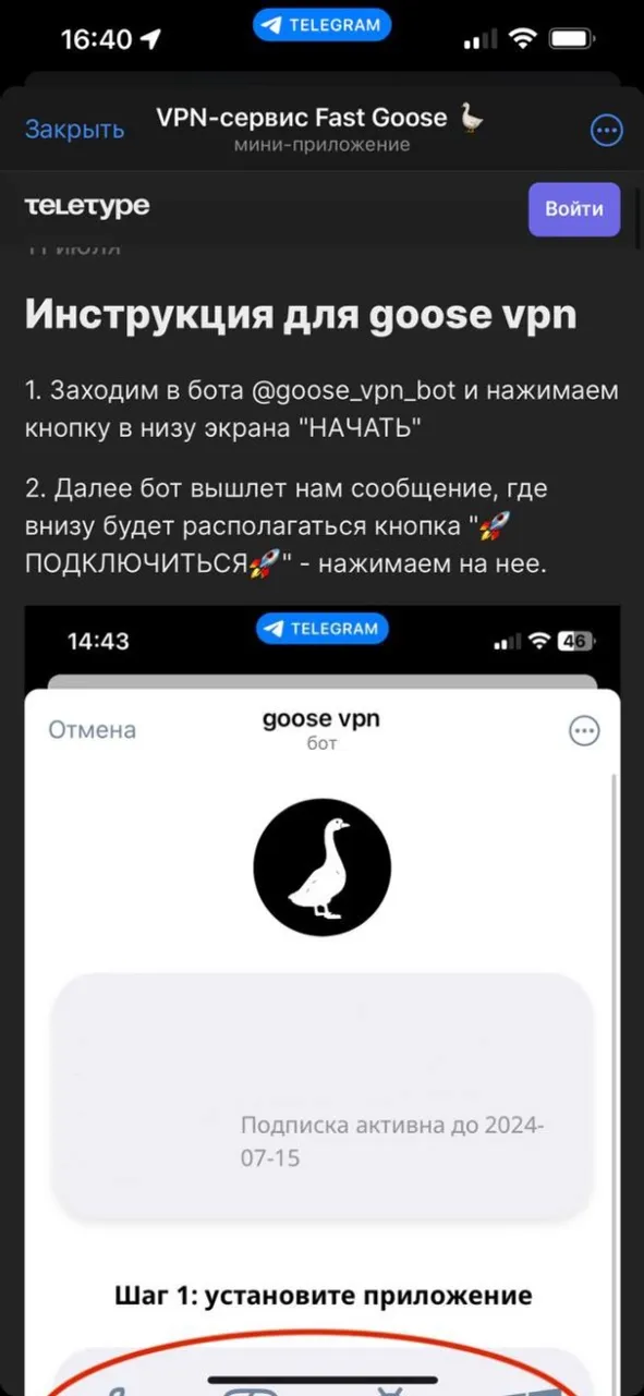 fast_goose_vpn_bot