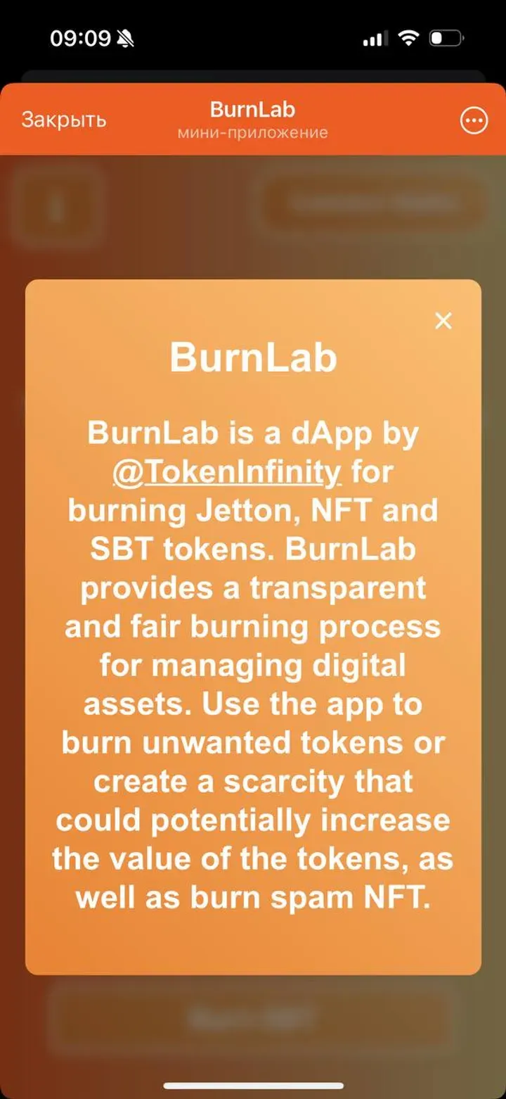 burnlabbot