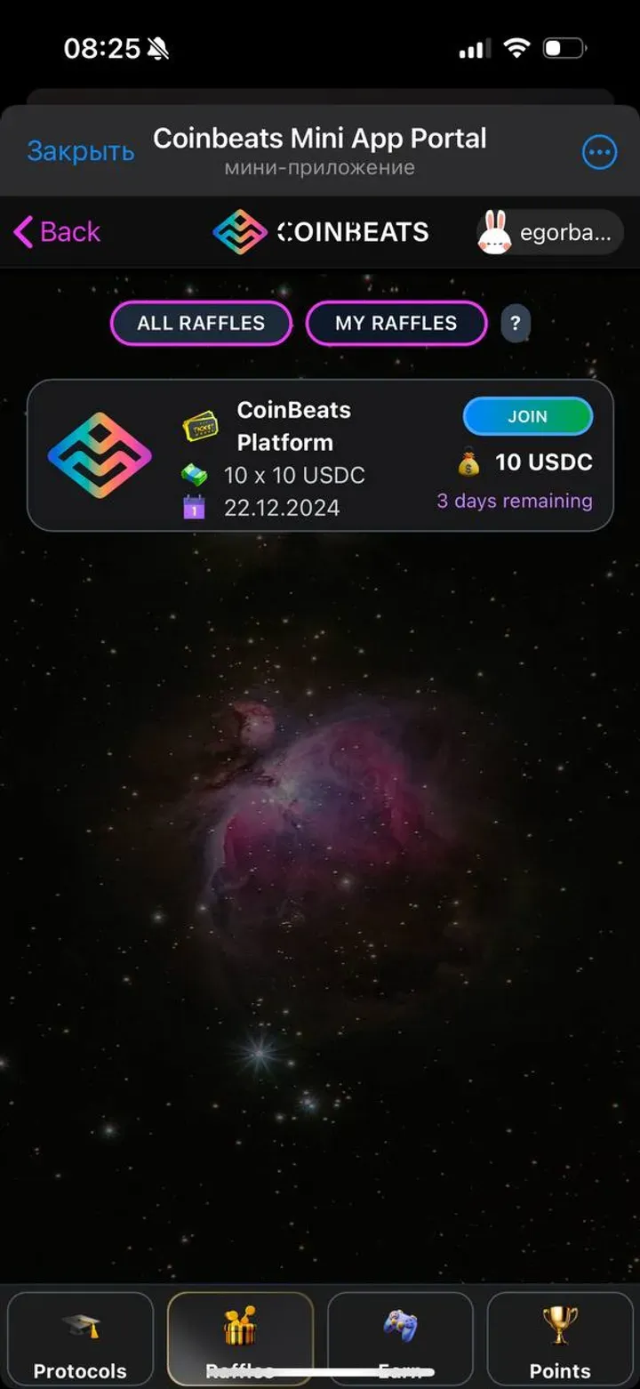 coinbeatsbunny_bot